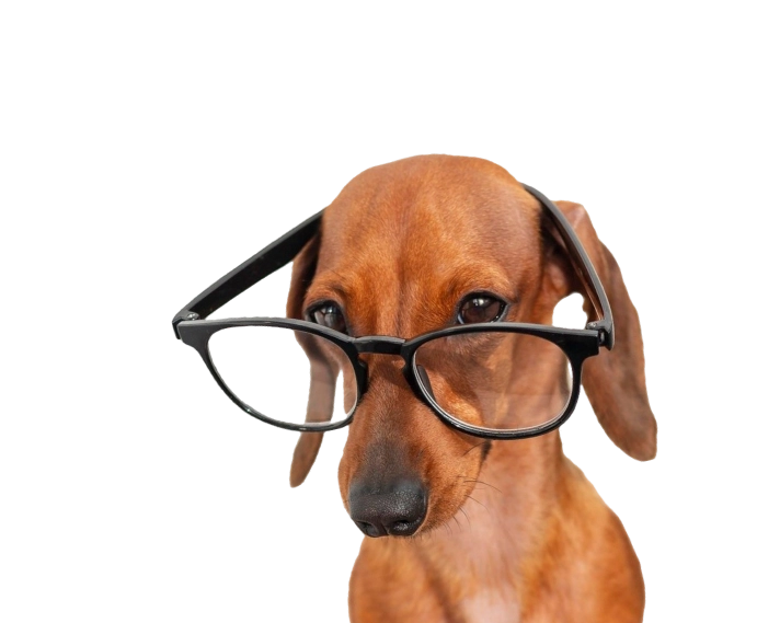 Blog veterinario Doru