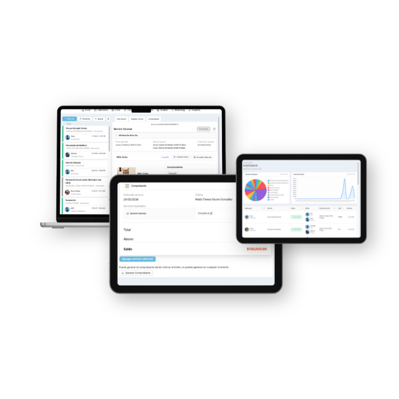 Consulta y seguimiento digital