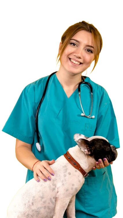 Clínicas veterinarias usando Doru